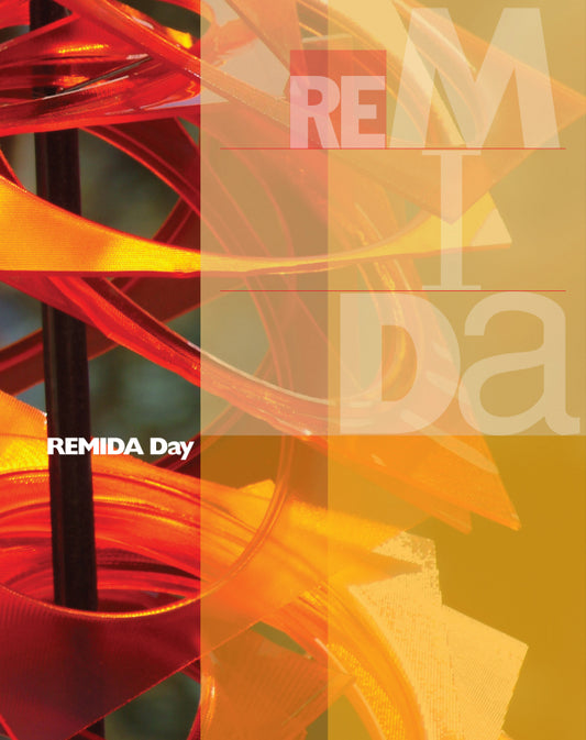 REMIDA Day